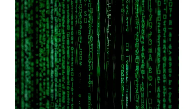 newsil הפריצה שלך להייטק